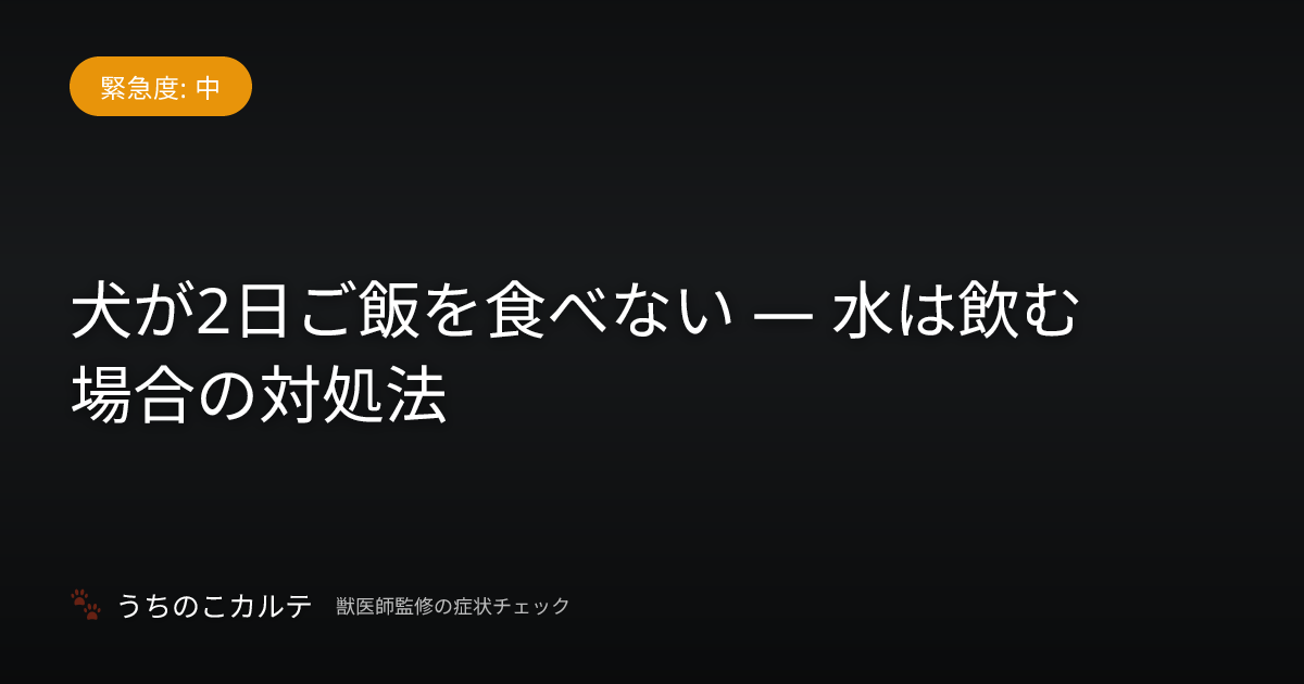 犬が2日ご飯を食べない — 水は飲む場合の対処法