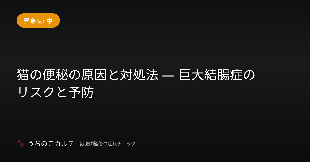 猫の便秘の原因と対処法 — 巨大結腸症のリスクと予防