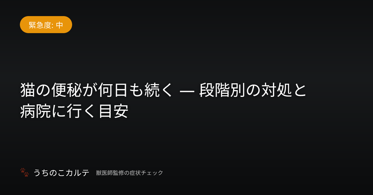 猫の便秘が何日も続く — 段階別の対処と病院に行く目安