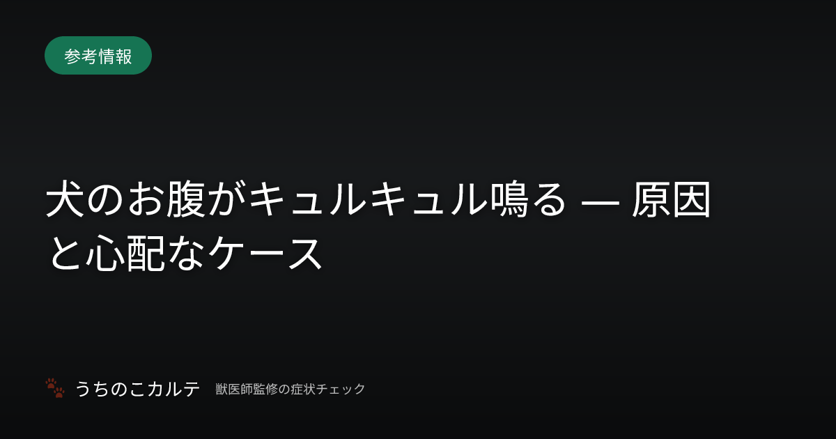 犬のお腹がキュルキュル鳴る — 原因と心配なケース