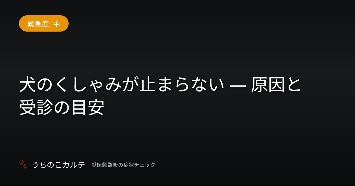 犬のくしゃみが止まらない — 原因と受診の目安