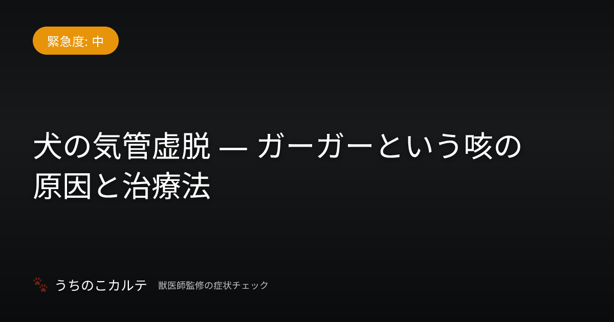 犬の気管虚脱 — ガーガーという咳の原因と治療法
