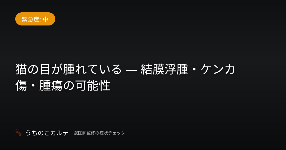 猫の目が腫れている — 結膜浮腫・ケンカ傷・腫瘍の可能性