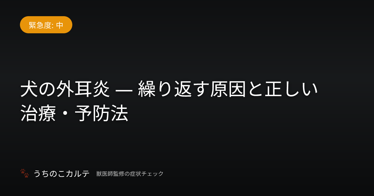 犬の外耳炎 — 繰り返す原因と正しい治療・予防法
