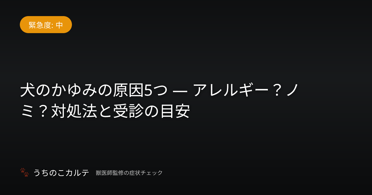 犬のかゆみの原因5つ — アレルギー？ノミ？対処法と受診の目安