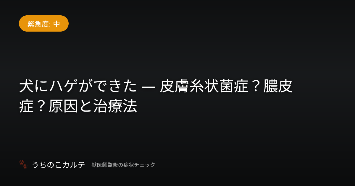 犬にハゲができた — 皮膚糸状菌症？膿皮症？原因と治療法