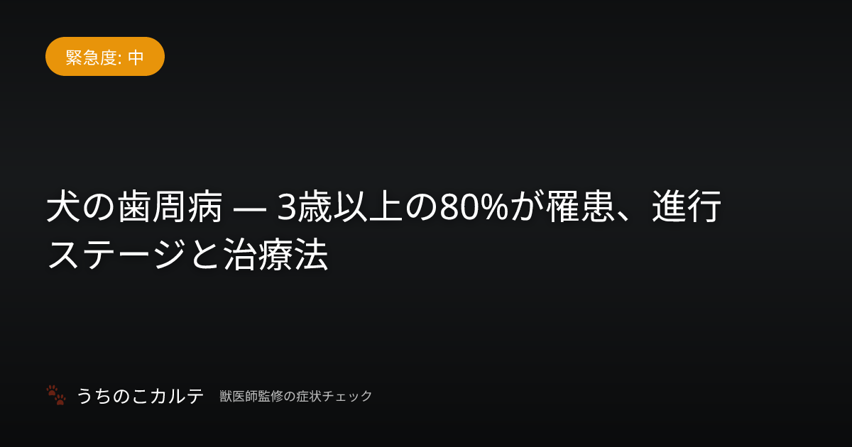 犬の歯周病 — 3歳以上の80%が罹患、進行ステージと治療法