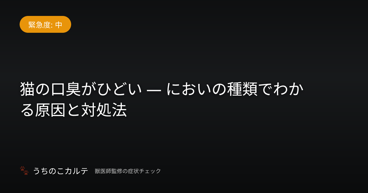 猫の口臭がひどい — においの種類でわかる原因と対処法