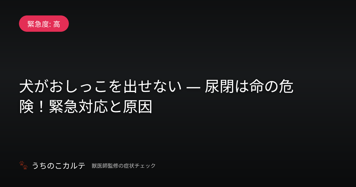 犬がおしっこを出せない — 尿閉は命の危険！緊急対応と原因