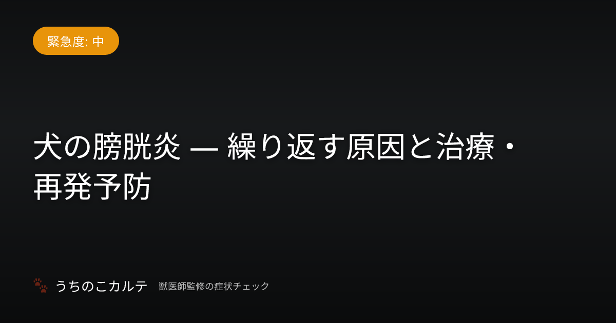 犬の膀胱炎 — 繰り返す原因と治療・再発予防