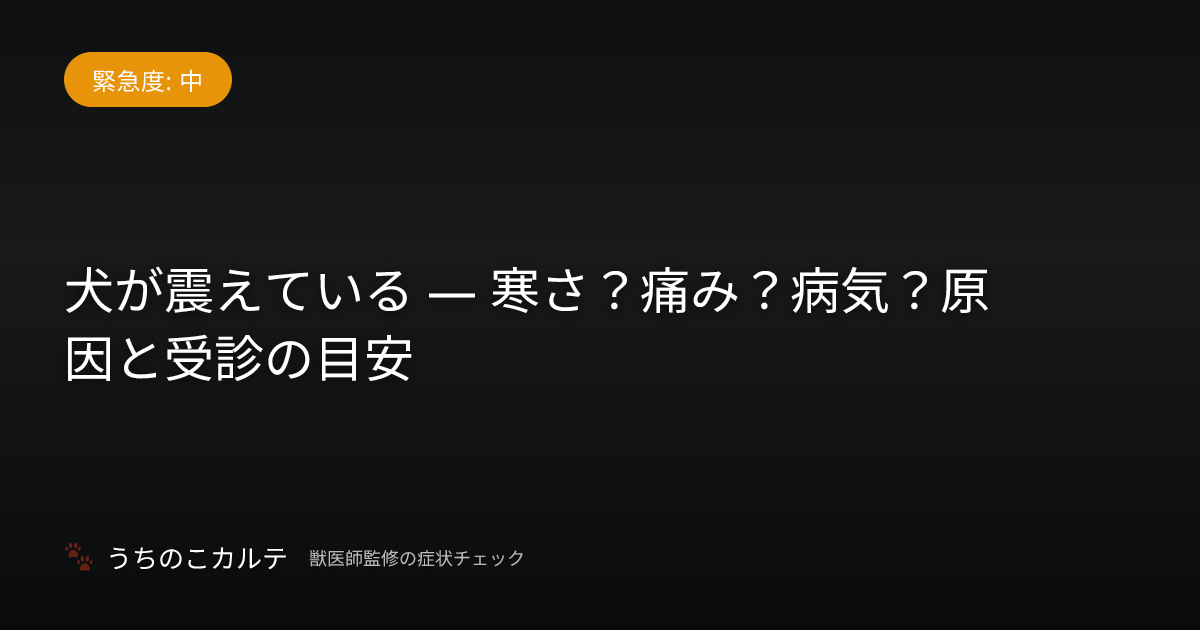 犬が震えている — 寒さ？痛み？病気？原因と受診の目安