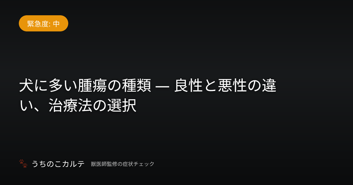犬に多い腫瘍の種類 — 良性と悪性の違い、治療法の選択