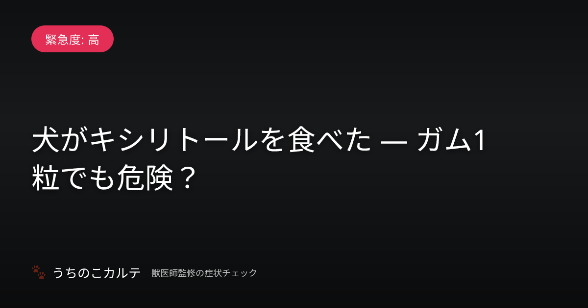 犬がキシリトールを食べた — ガム1粒でも危険？