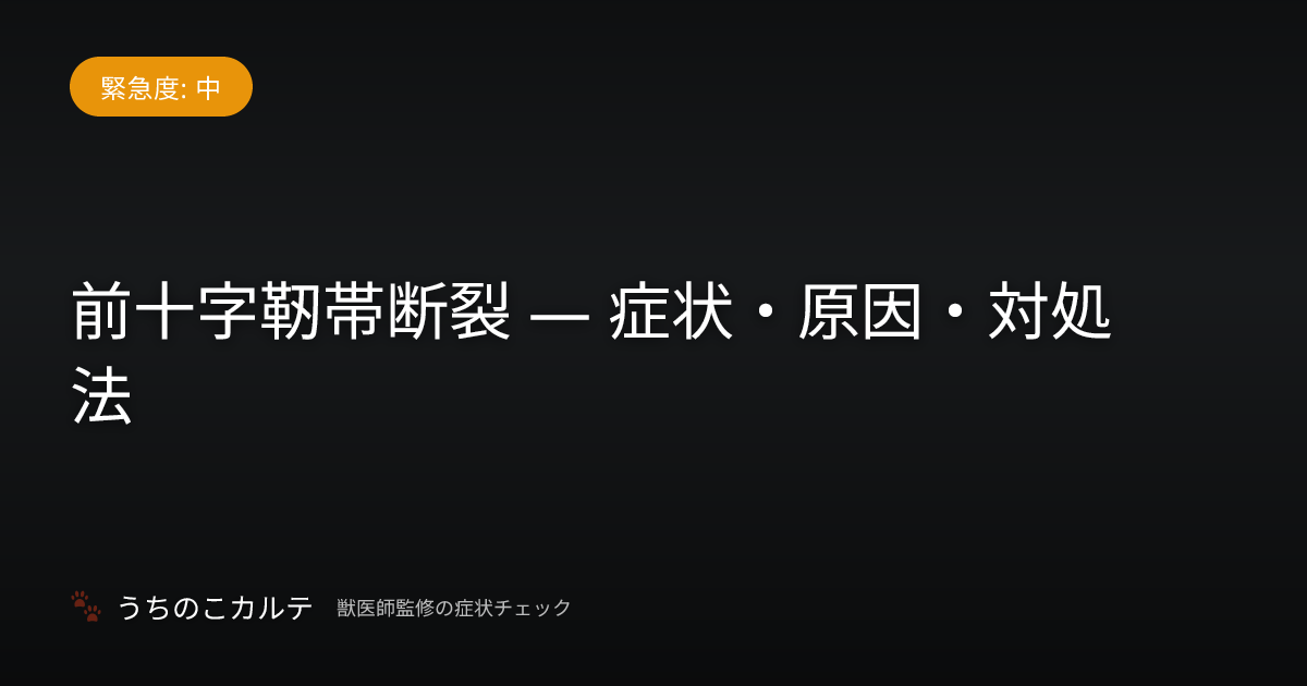 前十字靭帯断裂 — 症状・原因・対処法