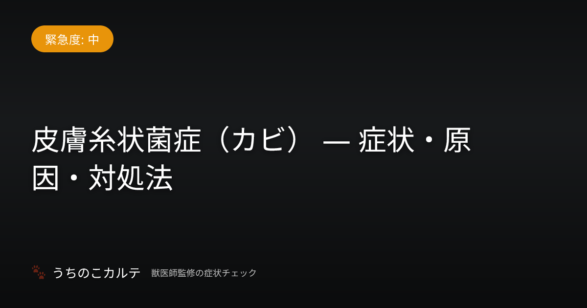 皮膚糸状菌症（カビ） — 症状・原因・対処法