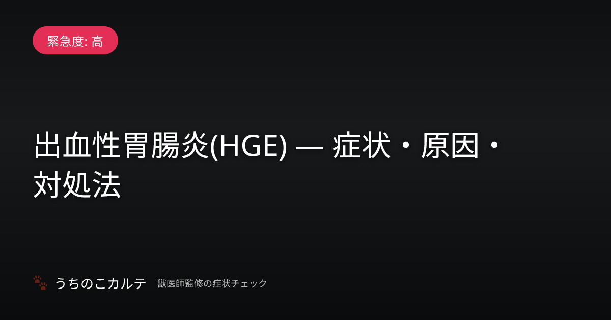出血性胃腸炎(HGE) — 症状・原因・対処法