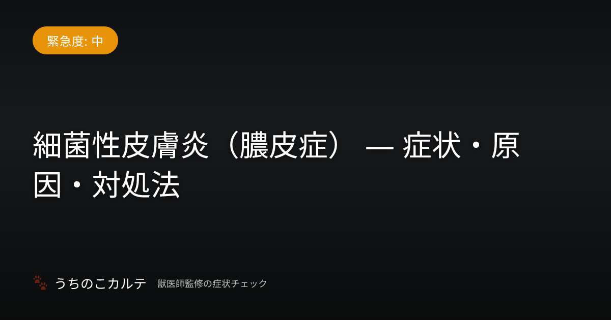 細菌性皮膚炎（膿皮症） — 症状・原因・対処法