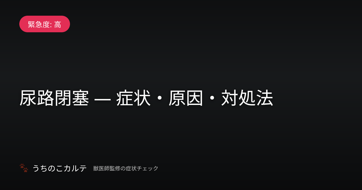 尿路閉塞 — 症状・原因・対処法