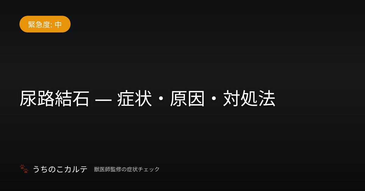 尿路結石 — 症状・原因・対処法